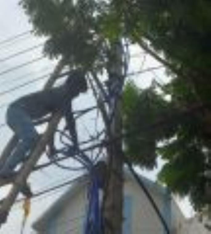 Pruning along with repairs increased the problem, power was cut off for four hours in two substations