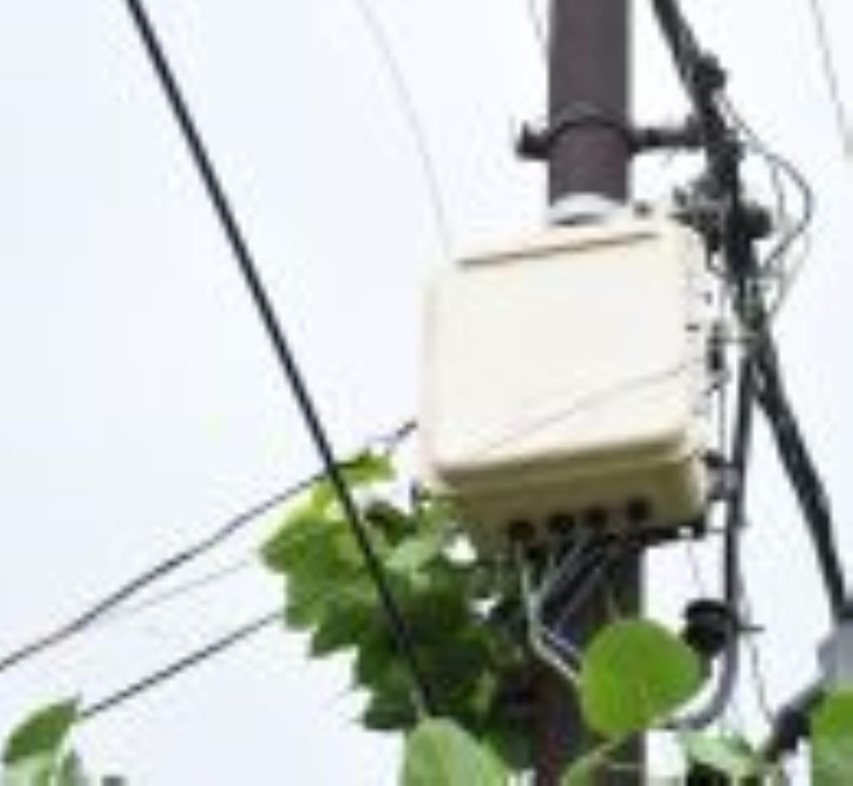 There is no control on thieves, now electricity corporation will give shock to honest consumers