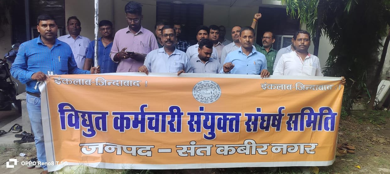 Electricity workers will stage a massive protest today against privatisation