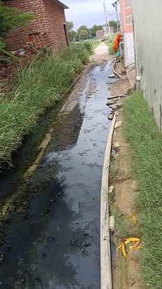 Waterlogging on the common roads of Rampura village has troubled the passersby