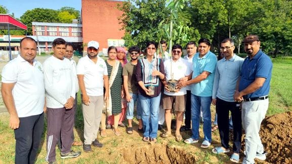 51 shady and fruit bearing trees were planted in the school