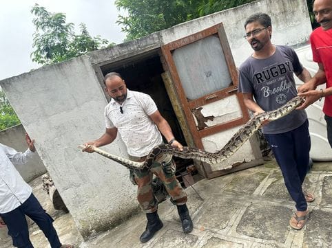 A 10 feet long python entered the bathroom in Bahal