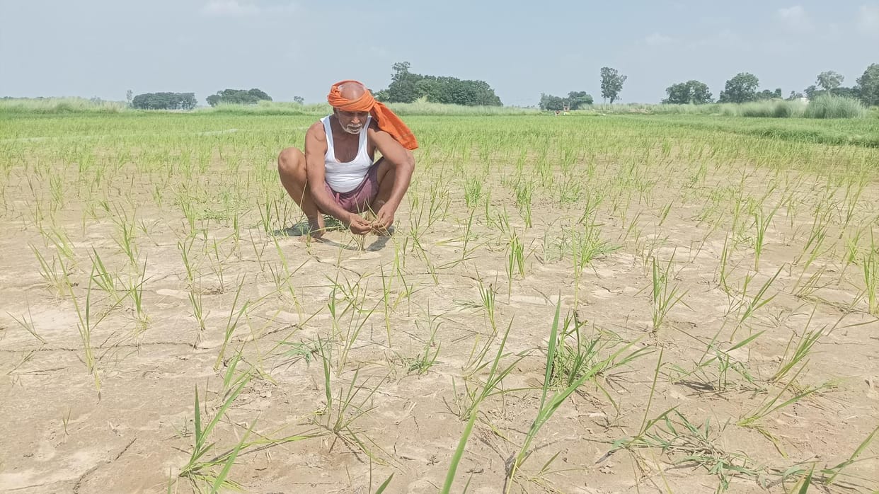 There is no sign of rain...desires are withering in the fields