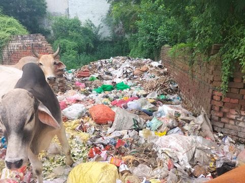Now heaps of garbage pile up in empty plots, corporation is dependent on comedian