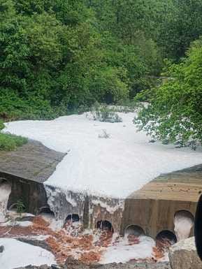 Panic due to foam in drain water in Faked, suspicion of poisonous substance