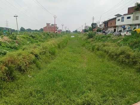 There is no water in the canals, paddy plantation affected
