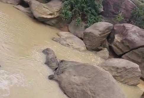 घटना स्थल जहां मिला युवक का शव।