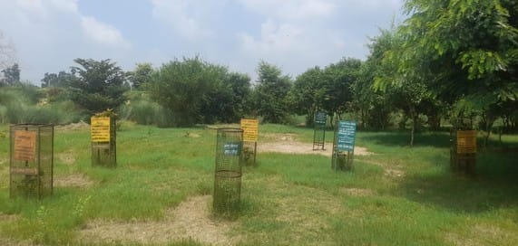 Crores of rupees were spent but still chaos prevails in the biodiversity park