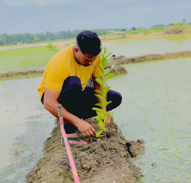 Message given for environmental protection by planting trees