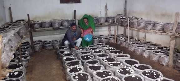 kathua news, women empowerment news,