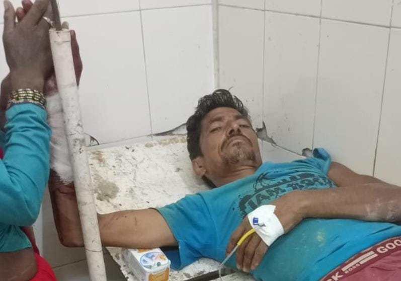 Monkey terror in many villages, 20 people bitten