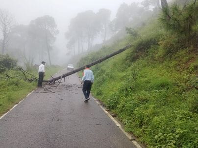 Landslide on Peeplu-Matoh road, traffic affected due to falling of tree