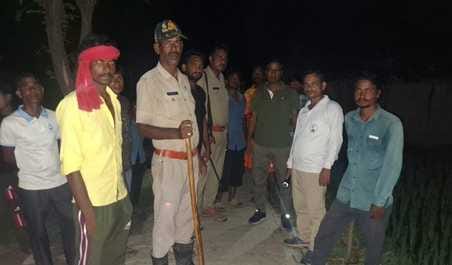 Leopard seen near Krishnanagar bridge, panic