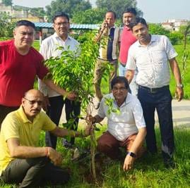 Tree plantation drive started to promote environmental protection