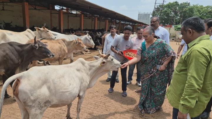 Mayor and Municipal Commissioner inspected the cow shelters
