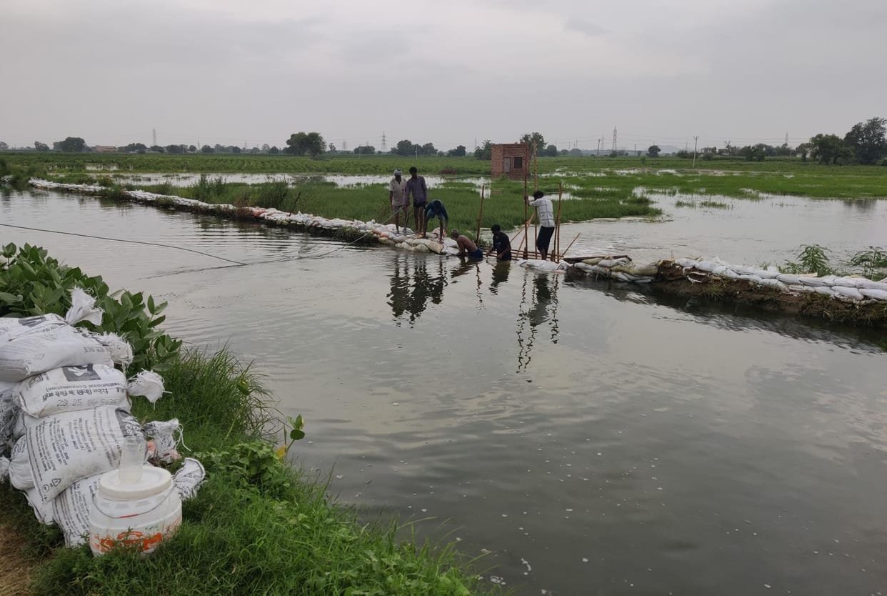 Bhiwani-Ghaggar drain broke for the third time, farmers' hopes submerged again