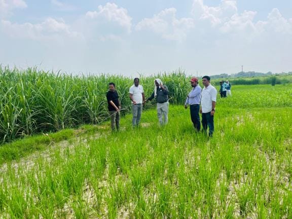 Rocket will be launched in jungle belt, land marked