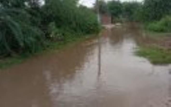 More than 120 mm of rain in Loharu in 24 hours, waterlogging increased troubles but relief from heat