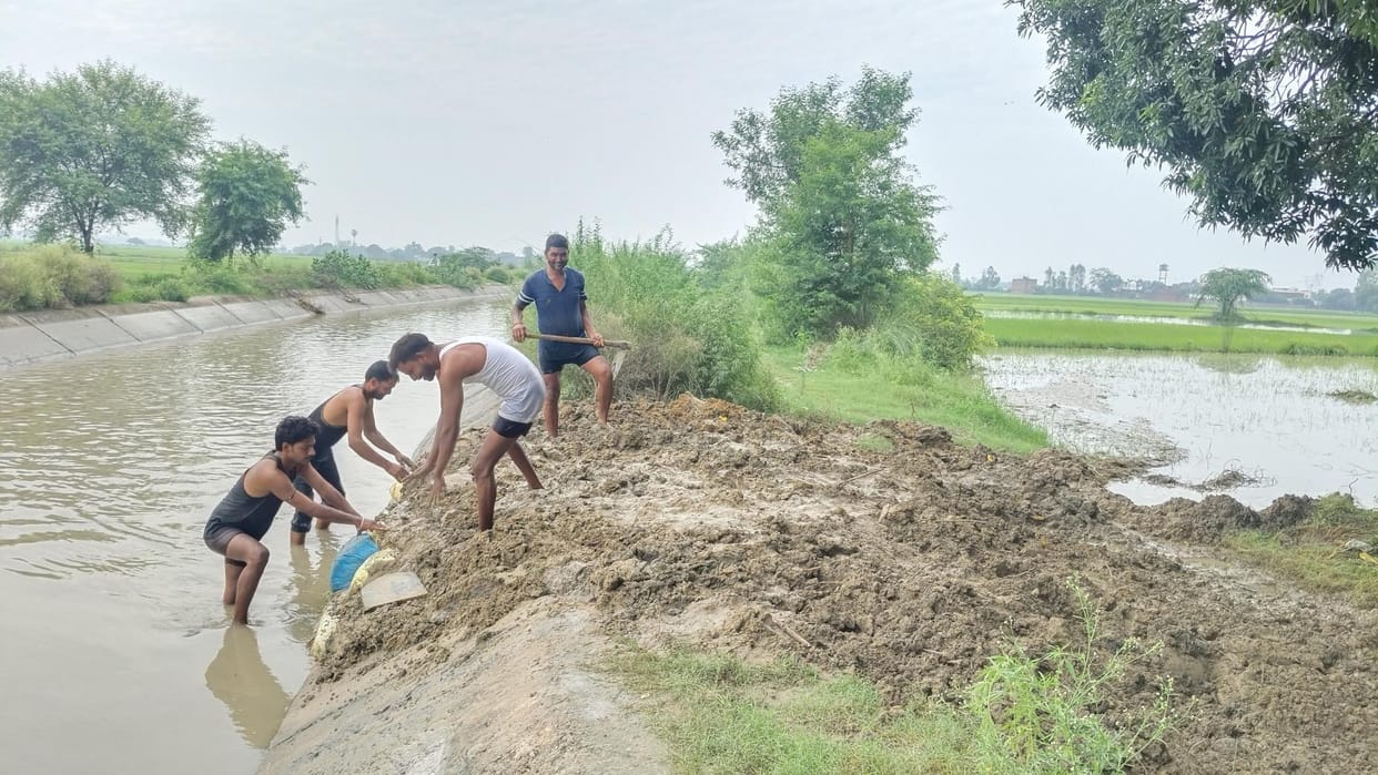 Water filled in the canal, ten acres of paddy crop submerged