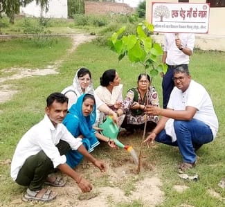 Trees are the need of our coming generation: Anita