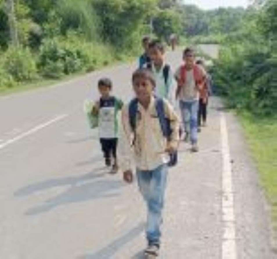 To go to school you will have to cross the jungle and the highway