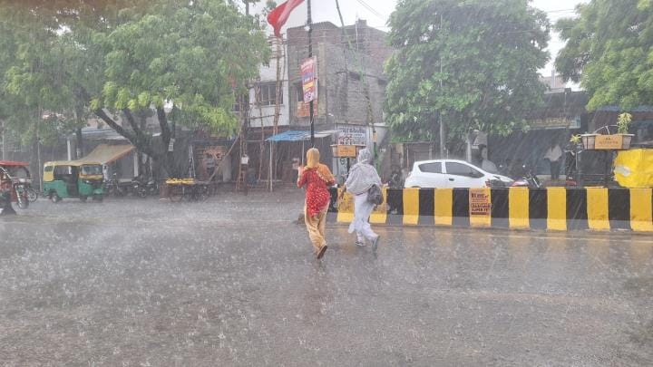 Rain brought relief from heat and crops got a new lease of life