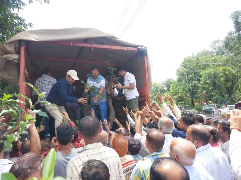 kathua-bilawar news, tea garden news, agriculture news