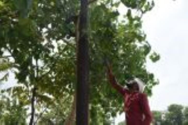 Police raid on electricity thieves