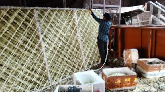 Devotees spent more than 20 crores on Banke Bihari's Pushpa Seva