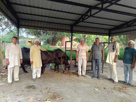 Naveen's buffalo stood first by giving 21 kg 700 grams of milk