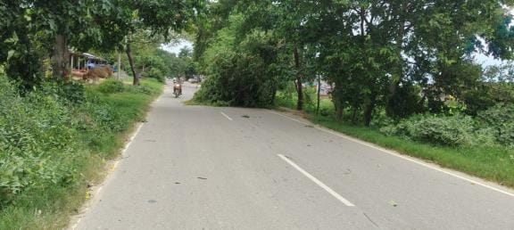 Tree fell on Nath Nagar-Basti road in storm
