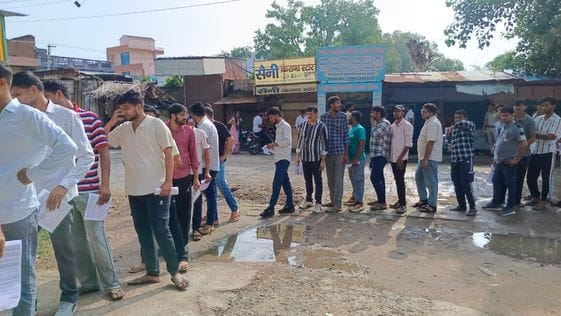 Green fodder was distributed in Gopal Gaushala