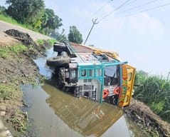 Truck overturned after hitting pillars while trying to save cattle