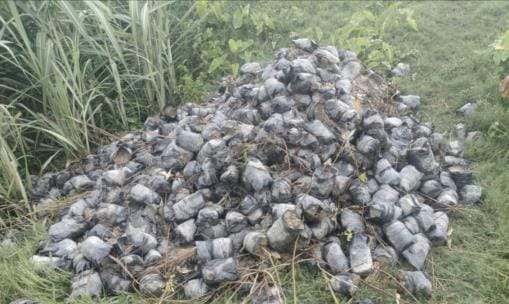 Plants received for planting in the campaign were thrown into the canal