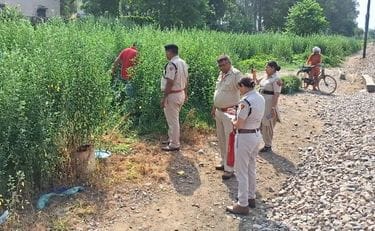 Two buckets soaked in chemicals were found 20 steps away from the place where the woman's severed hand and torso were found