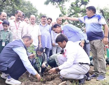 Katra, Shrine Board, Tree Plantation, Additional CEO