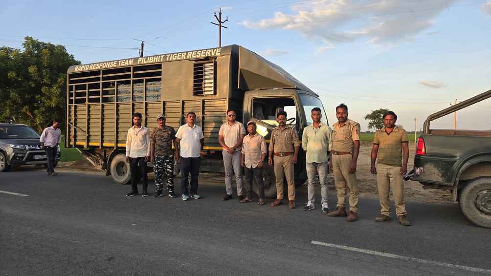 The tigress who spread panic in Nuria has been secured in Kanpur Zoo