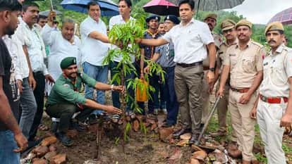 Plantation under Van Mahotsav
