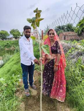 Khampura Sarpanch planted saplings with her husband