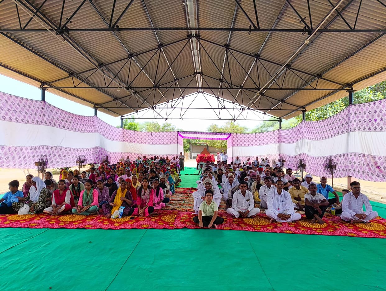 Told about the indigenous breed of cow of Indian culture