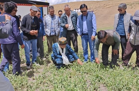 MLA took stock of the damage caused by hailstorm