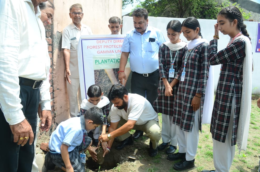 kathua news, tree plantation news