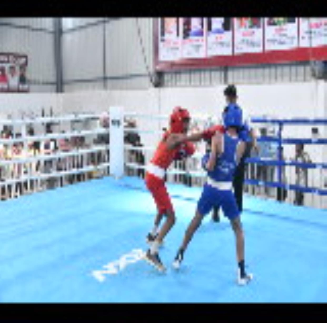 Hisar's boxer Tamanna reached the final by defeating Karnal's Mishti