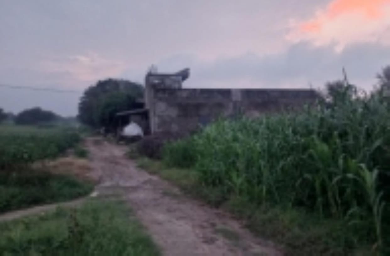electric connection for dhanies