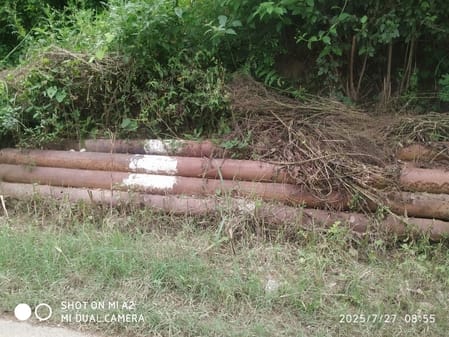 Waterlogging is happening in Lalwan due to electric poles placed in the drain on the side of the road