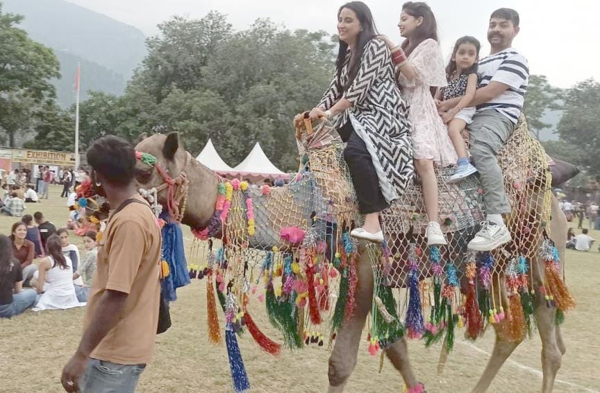 People are enjoying camel rides a lot