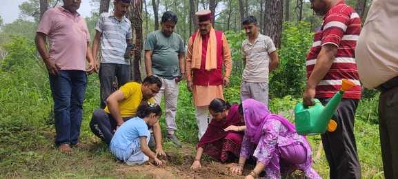 Medicinal plants planted in Chakmoh