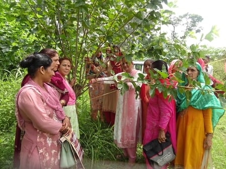 Scientific method of silkworm rearing explained