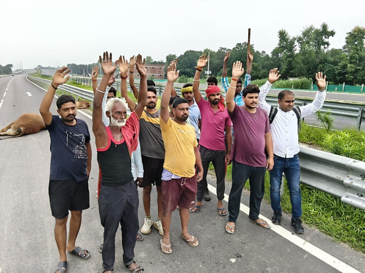 Four cattle died due to vehicle collision