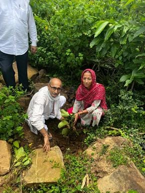 bilawar news, tree plantation news